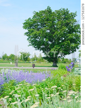 北海道風景路與河川站花路惠庭 127581878