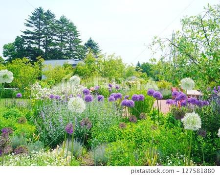 北海道風景路與河川站花路惠庭 127581880