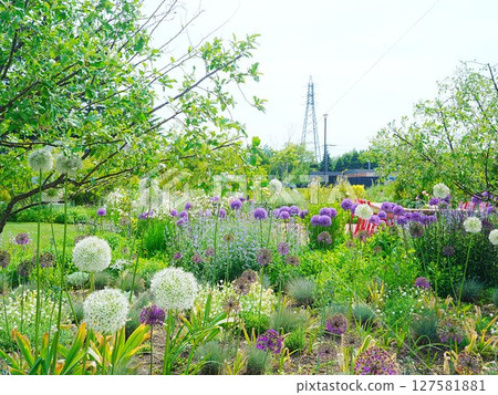 北海道風景路與河川站花路惠庭 127581881