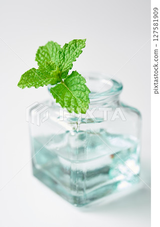 玻璃罐中的薄荷葉 玻璃罐中的薄荷葉 127581909