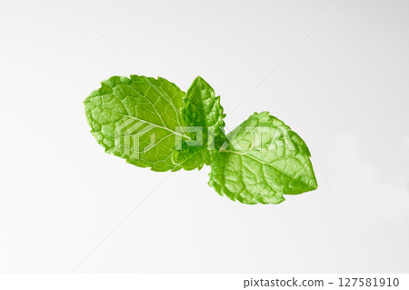 玻璃罐中的薄荷葉 127581910