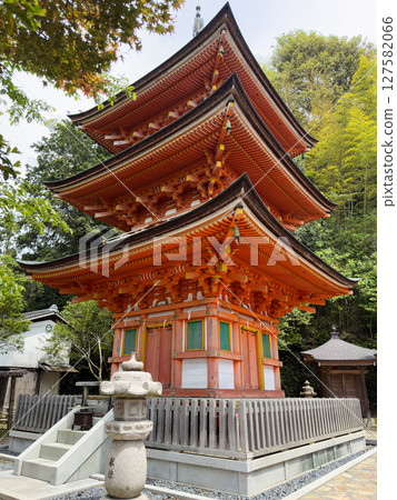 竹生島的三重塔，最右側是羽法堂，拍攝於2025年5月 127582066