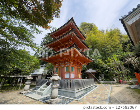 Three-story pagoda on Chikubushima Island, with a mochi tree on the left and Uhodo Hall in the background on the right, photographed in May 2025 Three-story pagoda on Chikubushima Island, with a mochi tree on the left and Uhodo Hall in the background on the right, photographed in May 2025 127582067