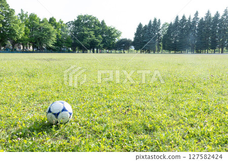 Soccer ball rolling on lawn 127582424