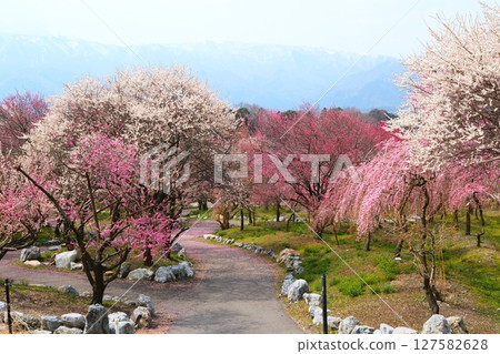 Inabe City Bairin Park Inabe City Bairin Park 127582628