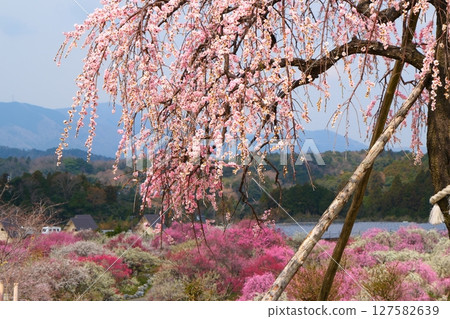 Inabe City Bairin Park 127582639