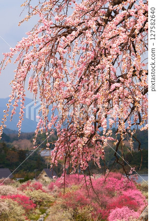 Inabe City Bairin Park Inabe City Bairin Park 127582640