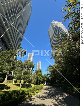 Musashi Kosugi Tower Mansion Musashi Kosugi Tower Mansion 127582941