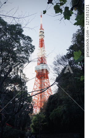 Tokyo Tower    127583231