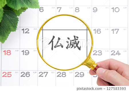 Close-up on Butsumetsu Close-up on Butsumetsu 127583393