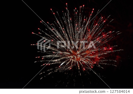 埼玉縣大型煙火大會 埼玉縣大型煙火大會 127584014