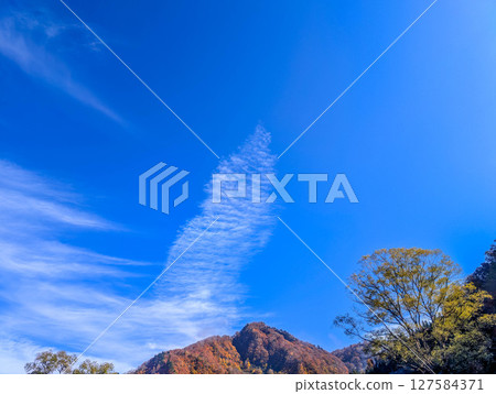 Early winter sky 127584371