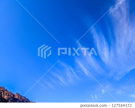 初冬的天空 初冬的天空 127584372