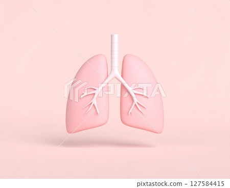 Lung model 3D rendering image 127584415