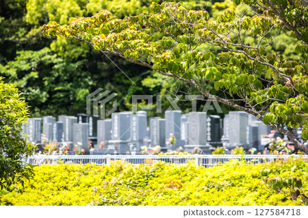 Cemetery lined with gravestones Cemetery lined with gravestones 127584718
