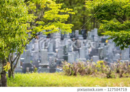 Cemetery lined with gravestones 127584719