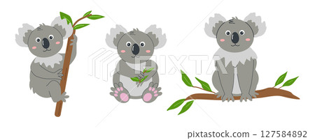 Wild animals cute koala bear baby character Set. Greeting card template for children zoo tickets banner. Vector illustration. 127584892