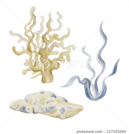 Set of sea objects. Blue algae. Yellow branched coral. Seabed of sand and stones. Decor for aquarium and ocean reef. Watercolor illustration without background. Hand drawing. High quality illustration 127585004