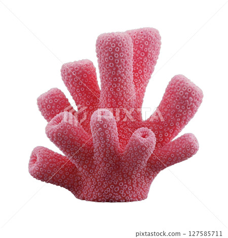 Pink coral minimalist 3D rendering in a soft and smooth renderer Pink coral minimalist 3D rendering in a soft and smooth renderer 127585711