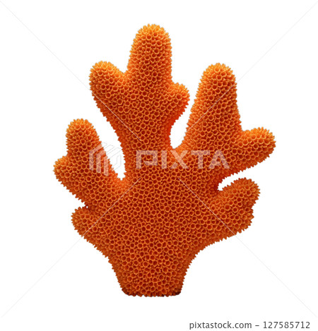 Orange coral minimalist 3D rendering in a soft and smooth renderer 127585712