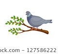 A pigeon on a branch. A cartoon-style pigeon sits on a tree branch. A tree branch and a bird. The vector illustration is isolated on a white background. 127586222