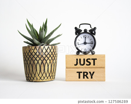 Just try symbol. Concept words Just try on wooden blocks. Beautiful white background with alarm clock and succulent plant. Business and Just Try concept. Copy space. Just try symbol. Concept words Just try on wooden blocks. Beautiful white background with alarm clock and succulent plant. Business and Just Try concept. Copy space. 127586289
