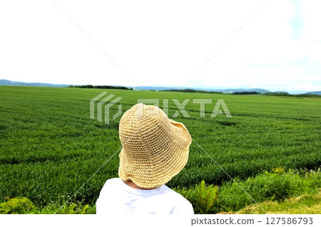 Hokkaido, early summer, fresh greenery, spring, Honbetsu Town, Ashoro Town, Milk Road, ranch drive, view of Mt. Asahidake, cows, milk, farm 127586793