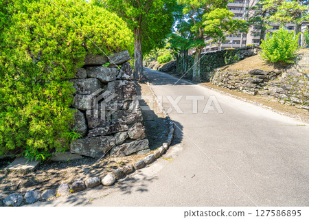 【日本百座名城】德島城，位於德島縣德島市表宮外圍 127586895