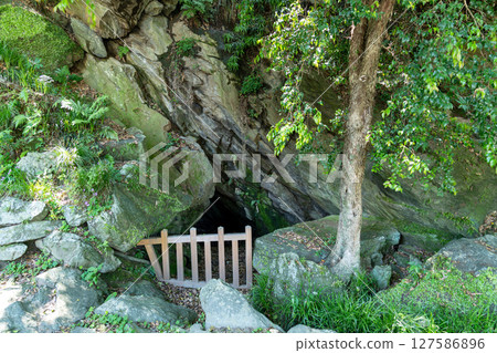 [Japan's 100 Famous Castles] Tokushima Castle, Shiroyama Shell Mound, Tokushima City, Tokushima Prefecture 127586896