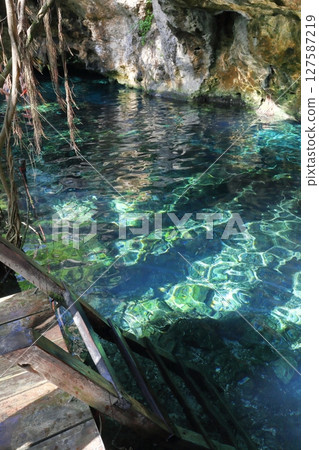 Gran Cenote, a hidden gem with exceptional transparency, located in Cancun, Mexico, Central America Gran Cenote, a hidden gem with exceptional transparency, located in Cancun, Mexico, Central America 127587219