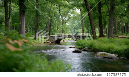[橋景] 一座橫跨溪流的石橋，穿過綠色的森林 127587575