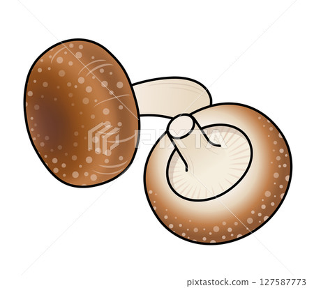 香菇圖標 127587773