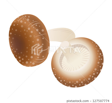 Shiitake mushroom icon 127587774