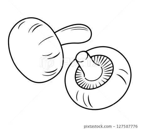 香菇圖標 127587776