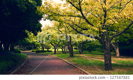 千葉市美濱區花見川綠地 127587881
