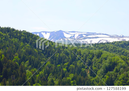 Fresh greenery, early summer at Daisetsu Dam, Daisetsuzan National Park, Hokkaido 127588199