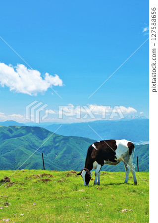 Nagano Prefecture, Utsukushigahara Plateau, blue sky farm scenery 127588656