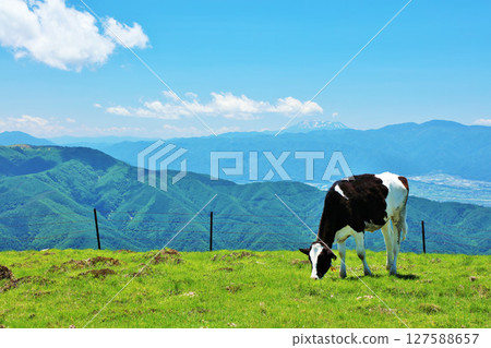 長野縣美原高原藍天農場風景 127588657