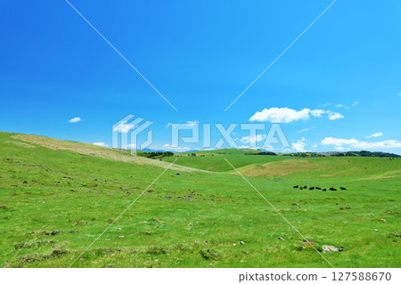 Nagano Prefecture, Utsukushigahara Plateau under the blue sky Nagano Prefecture, Utsukushigahara Plateau under the blue sky 127588670