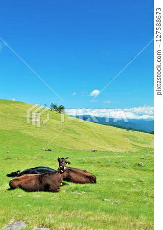Nagano Prefecture, Utsukushigahara Plateau, blue sky farm scenery 127588673