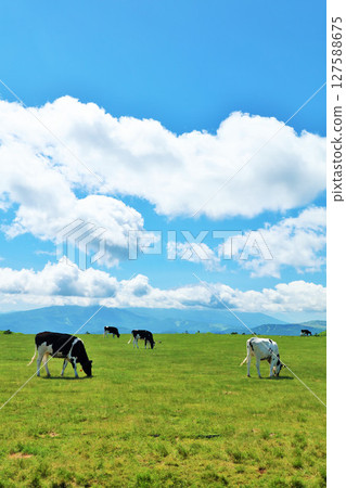 長野縣美原高原藍天農場風景 127588675