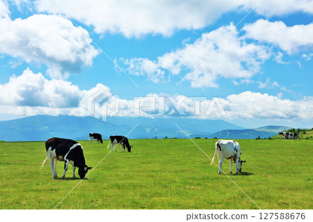 長野縣美原高原藍天農場風景 長野縣美原高原藍天農場風景 127588676