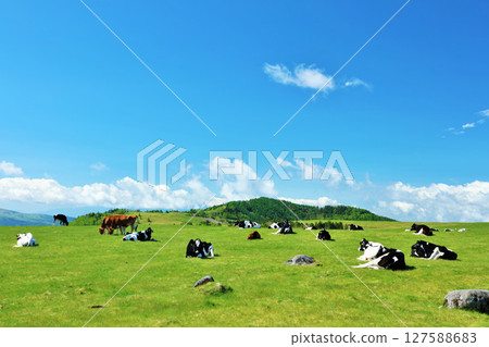 Nagano Prefecture, Utsukushigahara Plateau, blue sky farm scenery Nagano Prefecture, Utsukushigahara Plateau, blue sky farm scenery 127588683