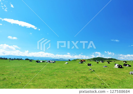 長野縣美原高原藍天農場風景 127588684