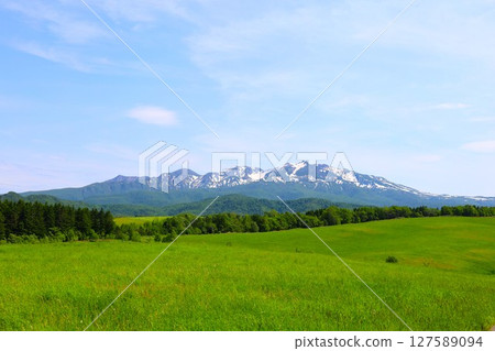 清新綠色的北海道,大雪山國立公園,可一覽大雪山連峰全景的大雪高原,旭丘 清新綠色的北海道,大雪山國立公園,可一覽大雪山連峰全景的大雪高原,旭丘 127589094