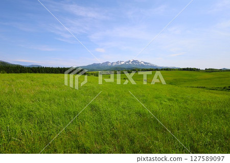 清新綠色的北海道，大雪山國立公園，可一覽大雪山連峰全景的大雪高原，旭丘 127589097