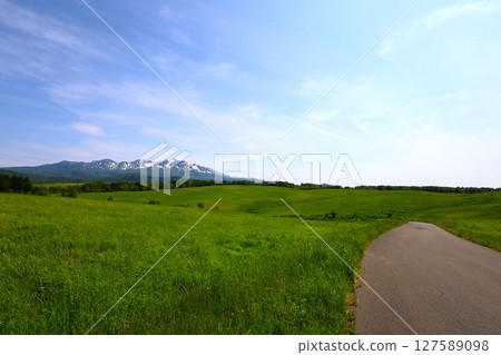 Fresh green Hokkaido, Daisetsuzan National Park, Daisetsu Plateau with a panoramic view of the Daisetsuzan mountain range, Asahigaoka Fresh green Hokkaido, Daisetsuzan National Park, Daisetsu Plateau with a panoramic view of the Daisetsuzan mountain range, Asahigaoka 127589098