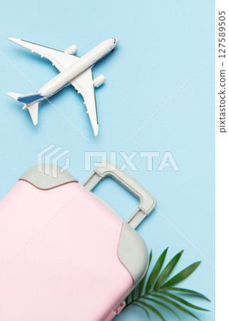 Pink suitcase, airplane model, and palm leaf on pastel blue background for travel concept 127589505