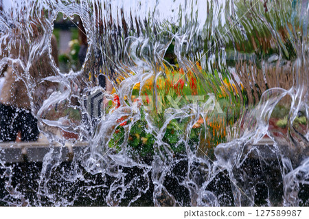 Beautiful flower scenery over the fountain 127589987