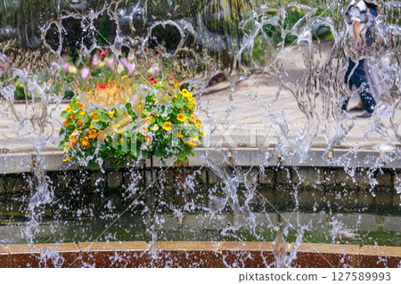 噴泉上美麗的花景 127589993
